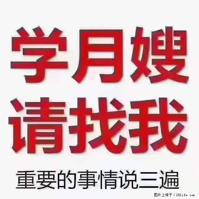 为什么要学习月嫂，育婴师？ - 新手上路 - 黑河生活社区 - 黑河28生活网 heihe.28life.net