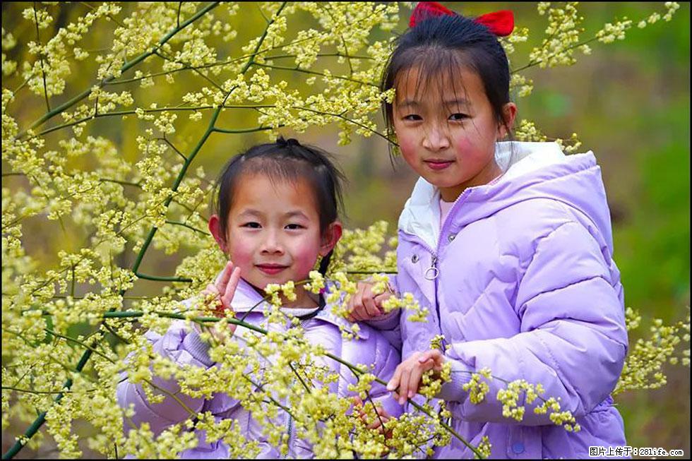 【春天，广西桂林灌阳县向您发出邀请！】米珠山前有片山苍子花在飘香 - 游山玩水 - 黑河生活社区 - 黑河28生活网 heihe.28life.net