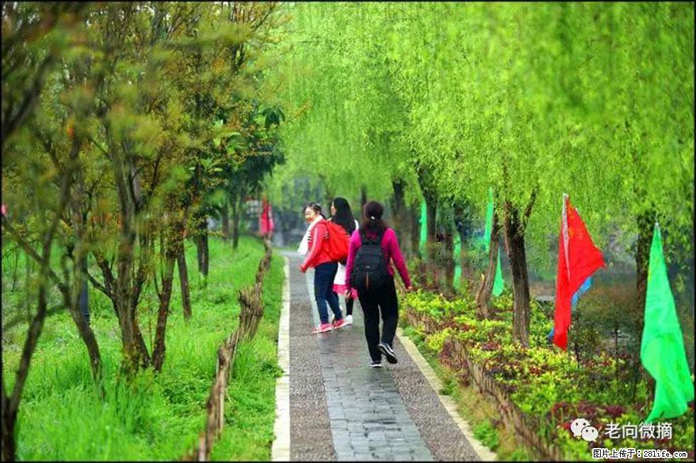 【春天，广西桂林灌阳县向您发出邀请！】江口老街又逢春 - 游山玩水 - 黑河生活社区 - 黑河28生活网 heihe.28life.net