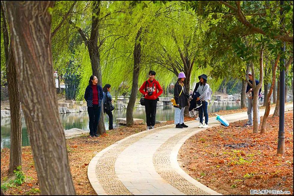 【春天，广西桂林灌阳县向您发出邀请！】江口老街又逢春 - 游山玩水 - 黑河生活社区 - 黑河28生活网 heihe.28life.net