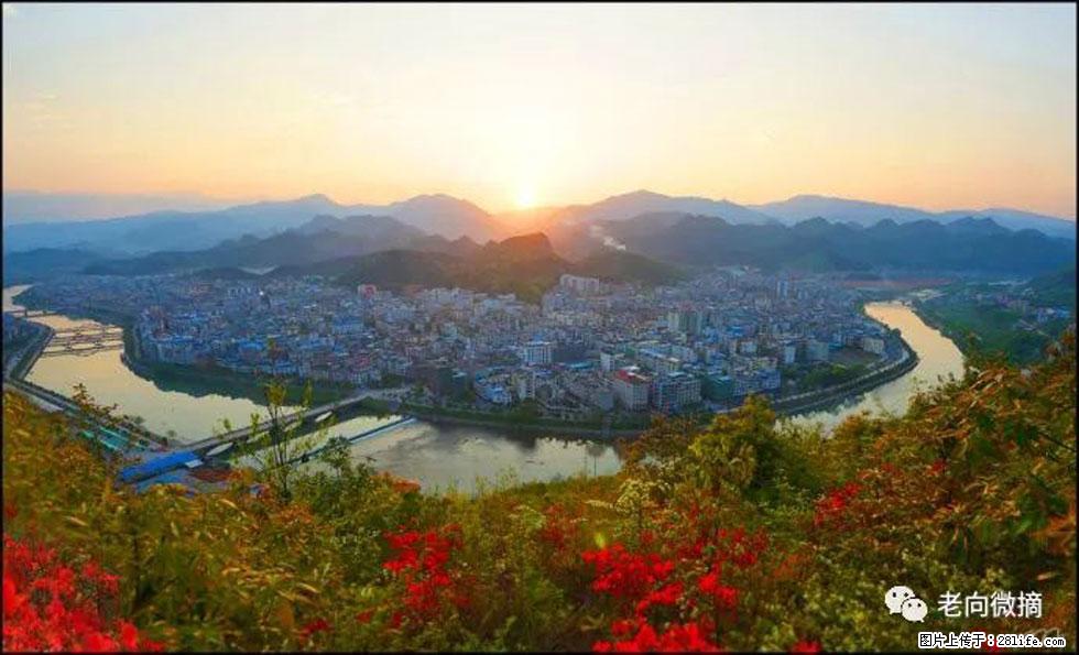 【春天，广西桂林灌阳县向您发出邀请！】登麒麟山，相约映山红 - 游山玩水 - 黑河生活社区 - 黑河28生活网 heihe.28life.net