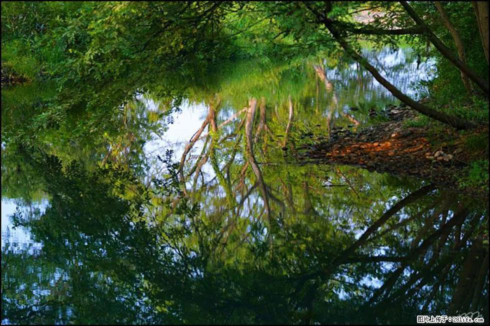 【春天，广西桂林灌阳县向您发出邀请！】熊家寨湿地公园 - 游山玩水 - 黑河生活社区 - 黑河28生活网 heihe.28life.net