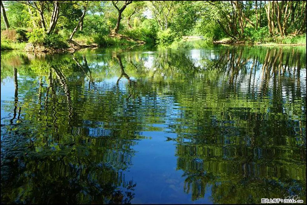【春天，广西桂林灌阳县向您发出邀请！】熊家寨湿地公园 - 游山玩水 - 黑河生活社区 - 黑河28生活网 heihe.28life.net