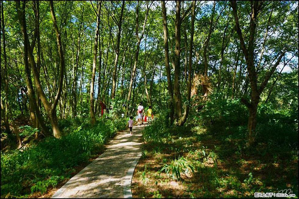 【春天，广西桂林灌阳县向您发出邀请！】熊家寨湿地公园 - 游山玩水 - 黑河生活社区 - 黑河28生活网 heihe.28life.net