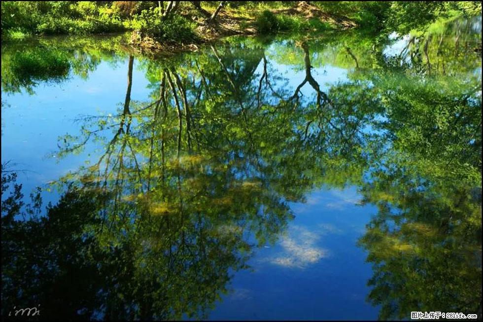 【春天，广西桂林灌阳县向您发出邀请！】熊家寨湿地公园 - 游山玩水 - 黑河生活社区 - 黑河28生活网 heihe.28life.net