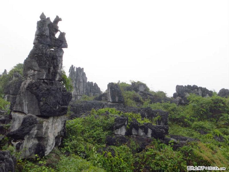 桂林旅游名城景点：灌阳文市石林 - 游山玩水 - 黑河生活社区 - 黑河28生活网 heihe.28life.net