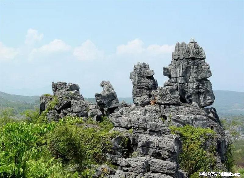 桂林旅游名城景点：灌阳文市石林 - 游山玩水 - 黑河生活社区 - 黑河28生活网 heihe.28life.net