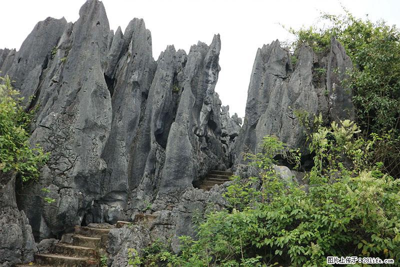 桂林旅游名城景点：灌阳文市石林 - 游山玩水 - 黑河生活社区 - 黑河28生活网 heihe.28life.net