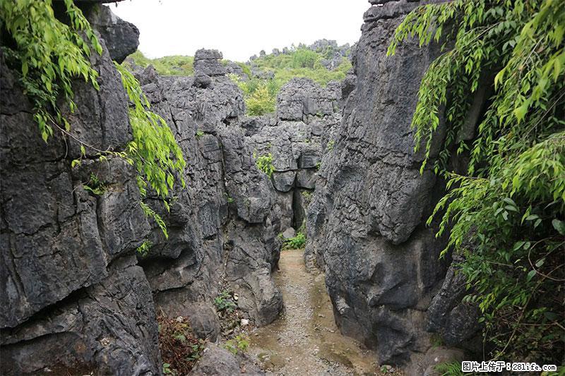 桂林旅游名城景点：灌阳文市石林 - 游山玩水 - 黑河生活社区 - 黑河28生活网 heihe.28life.net
