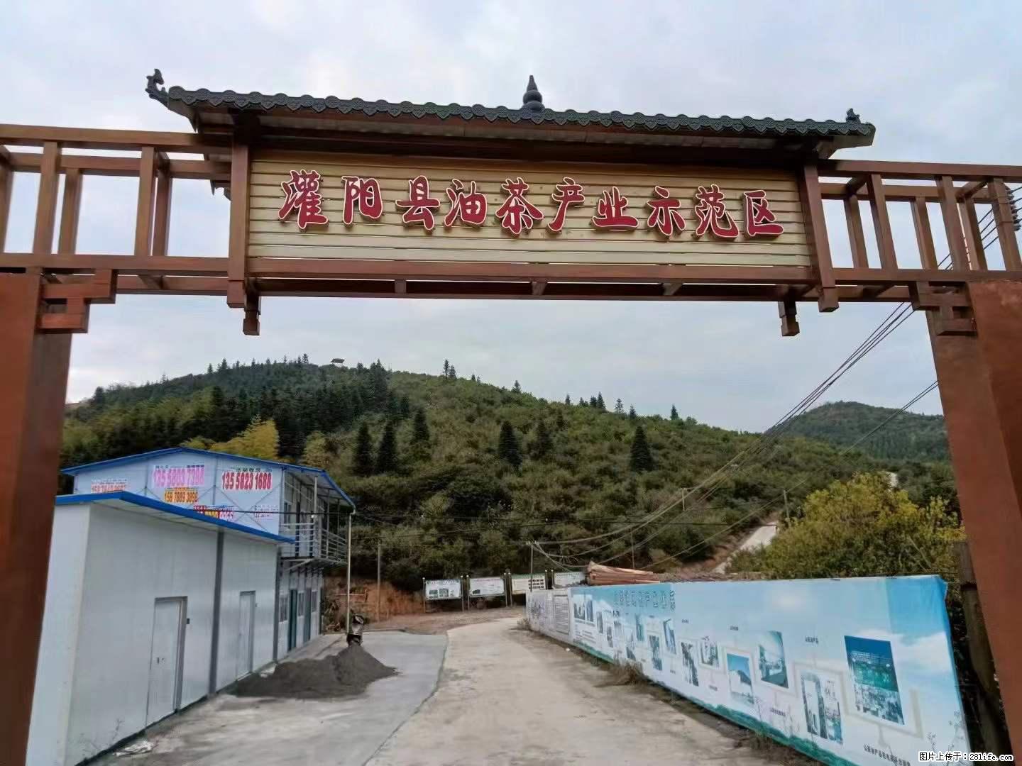【灌阳县油茶产业示范区】一个有着充实的精神生活的人，对待身外之物自会有一种淡泊的态度 - 美食天地 - 黑河生活社区 - 黑河28生活网 heihe.28life.net