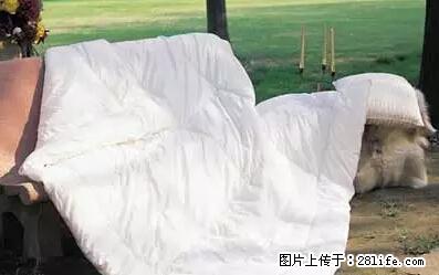 被子有异味？只要这样做，比晒太阳还强100倍！ - 家居生活 - 黑河生活社区 - 黑河28生活网 heihe.28life.net
