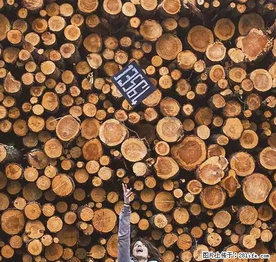 辞掉工作周游世界？现在他们在洗厕所…… - 游山玩水 - 黑河生活社区 - 黑河28生活网 heihe.28life.net