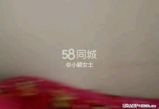 恒运 2室1厅1卫 - 黑河28生活网 heihe.28life.net