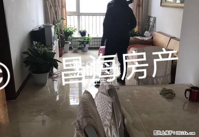高发曦城出租 2室1厅1卫 - 房屋出租 - 房屋租售 - 黑河分类信息 - 黑河28生活网 heihe.28life.net