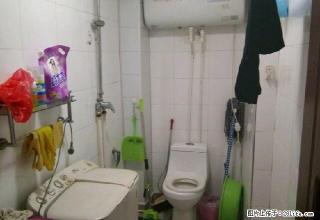 (单间出租)单间出租招女生 4室1厅1卫 限女生 - 黑河28生活网 heihe.28life.net