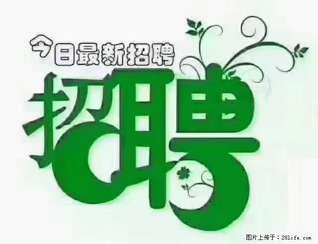 【招聘摄像师】待遇：试用期6000元/月，转正7000元/月+五险一金+餐补+节日福利+奖金 - 其他招聘信息 - 招聘求职 - 黑河分类信息 - 黑河28生活网 heihe.28life.net