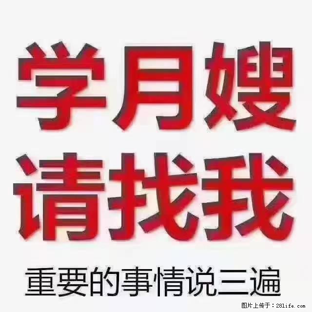 【招聘】月嫂，上海徐汇区 - 职场交流 - 黑河生活社区 - 黑河28生活网 heihe.28life.net