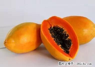 晕车、脚气、牙齿变黄、皮肤粗糙？学会这些三分钟搞定！ - 黑河生活资讯 - 黑河28生活网 heihe.28life.net