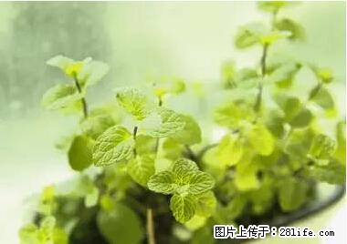 晕车、脚气、牙齿变黄、皮肤粗糙？学会这些三分钟搞定！ - 黑河生活资讯 - 黑河28生活网 heihe.28life.net