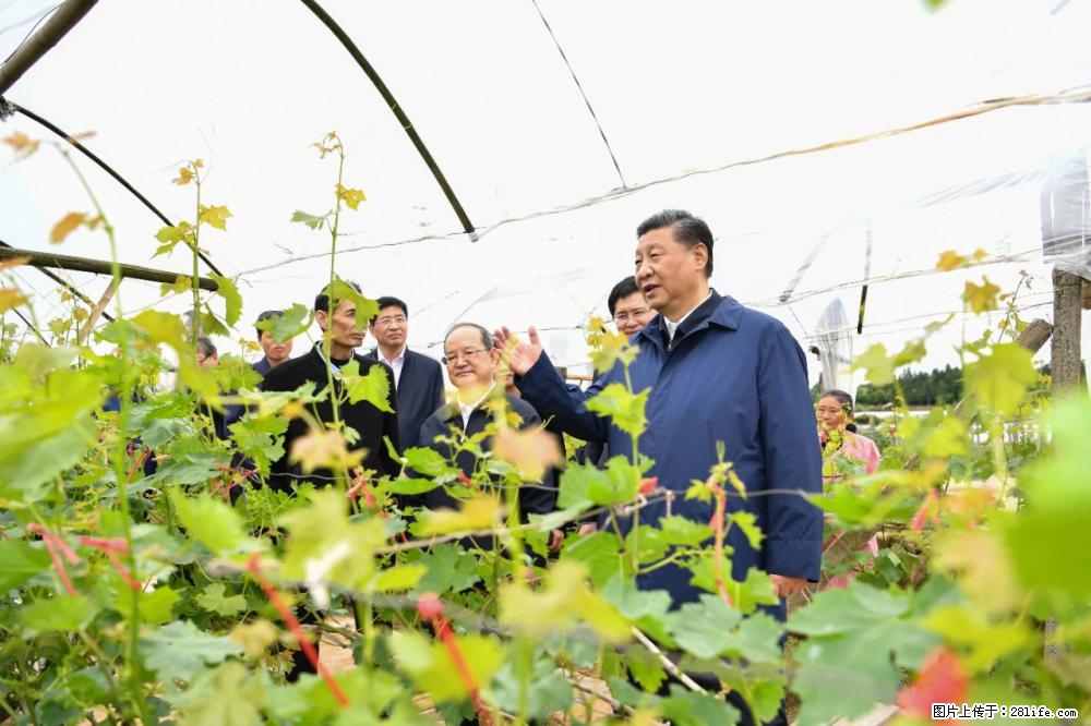 习近平赴广西考察调研 - 黑河生活资讯 - 黑河28生活网 heihe.28life.net