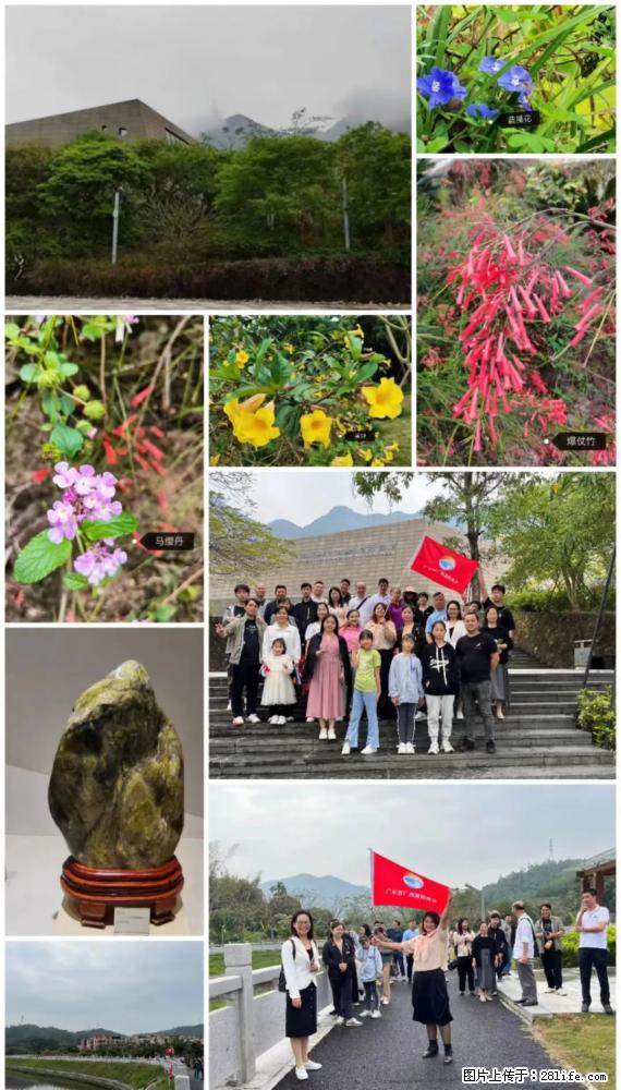 “粤灌文化 美好生活”油茶文化主题活动在广东深圳成功举办 - 黑河生活资讯 - 黑河28生活网 heihe.28life.net