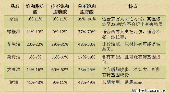 揭秘茶油的5大核心营养成分！被称为人体健康的“守护盾”！ - 黑河生活资讯 - 黑河28生活网 heihe.28life.net