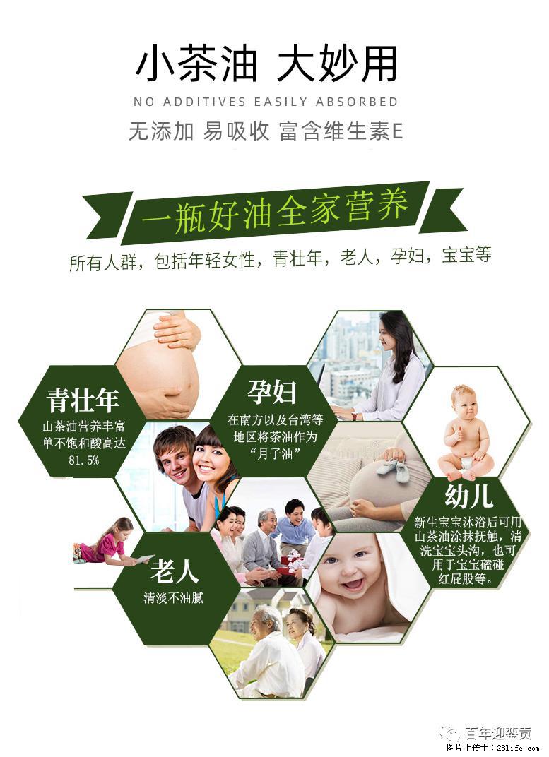 世界没有真相，只有认知，最好的食用油是中国的山茶油！ - 黑河生活资讯 - 黑河28生活网 heihe.28life.net