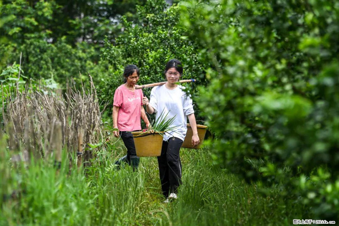 全网追的“扁担女孩”，找了一份暑假工，时薪12元 - 黑河生活资讯 - 黑河28生活网 heihe.28life.net