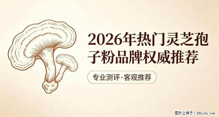 灵芝孢子粉含量越高越有效？2026 年七款热门品牌深度实测，肠胃敏感者避坑指南 - 黑河生活资讯 - 黑河28生活网 heihe.28life.net